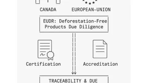 SCC Expands Accreditation to Support EU Forest Protection Rules