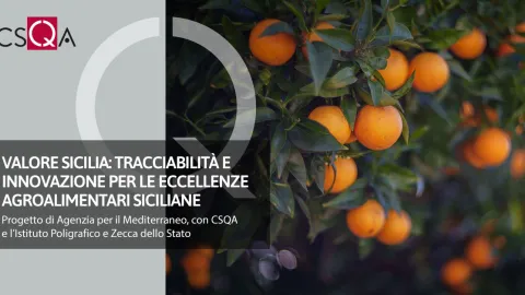 Valore Sicilia Project Boosts Agri-Food Transparency Through Blockchain and Certification
