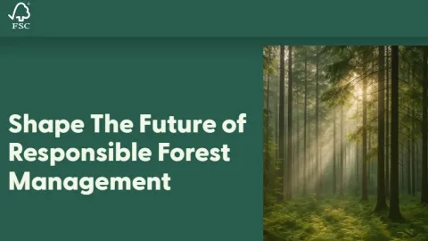 FSC Opens Consultations on Core Forest Management Standards – PCI and Country Requirements Revisions