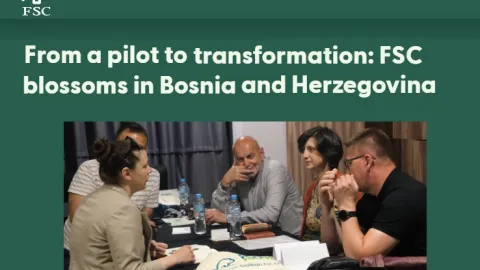 Bosnia and Herzegovina Achieves Near-Total FSC Forest Certification