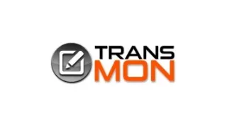 TransMon