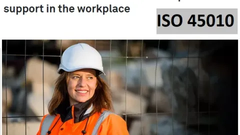 Draft ISO 45010 Guidance on Menstruation and Menopause in the Workplace Open for Comment