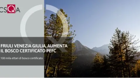 Sustainability Landmark: PEFC-Certified Area in Friuli Venezia Giulia Surpasses 100,000 Hectares