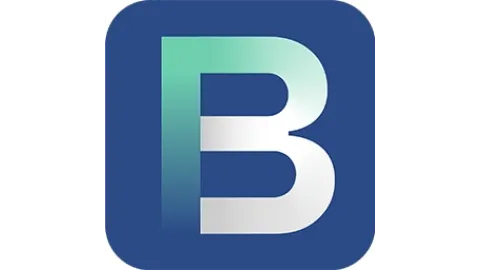 BRAINR