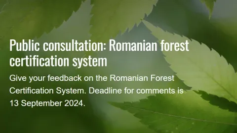 Romanian forest certification system under Public Consultation