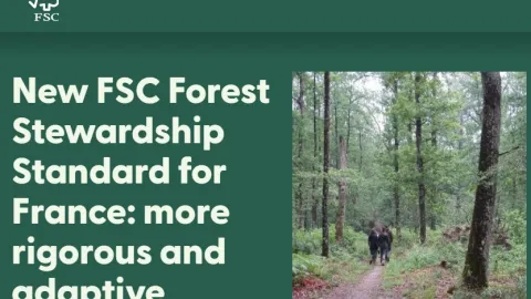 FSC Revises Forest Standard in France, Banning Pesticides and Strengthening Climate Protections