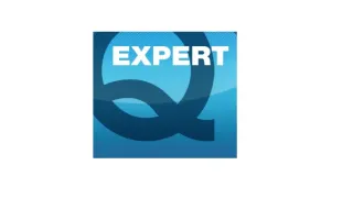 Q-Expert Consulting