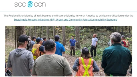 York Region Becomes First in North America Certified Under SFI Urban Forestry Standard