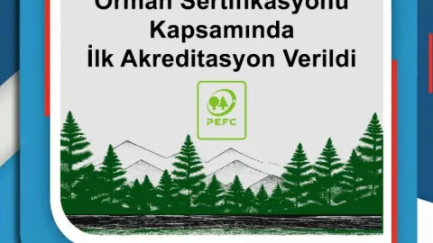 Türkiye Issues First PEFC Chain Of Custody Accreditation