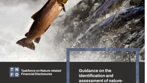 TNFD Releases LEAP 2.0 with Expanded Guidance on Nature-Related Assessment