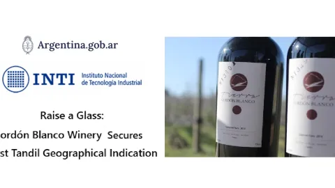 Raise a Glass: Cordón Blanco Winery Secures First Tandil Geographical Indication