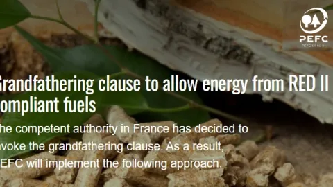 France Stands Alone in EU in Allowing RED II Biomass After Deadline