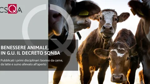 Italy Launches First Specifications for Animal Welfare, Making SQNBA Fully Certifiable Framework