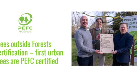 Zwolle Breaks Ground with First PEFC Trees outside Forests Certification