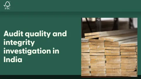 FSC Launches Investigation Into Audit Integrity in India