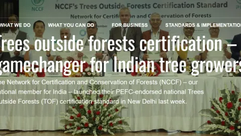 India Joins Elite Club with PEFC-Endorsed Trees Outside Forests Certification