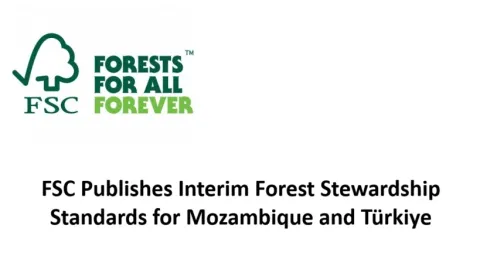 FSC Publishes Interim Forest Stewardship Standards for Mozambique and Türkiye