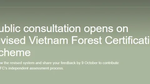 PEFC Opens Consultation on Revised Vietnam Forest Certification Scheme