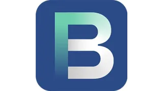 BRAINR