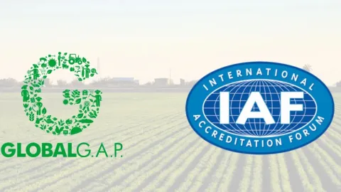 IAF Endorses GlobalGAP's Latest Food Safety Standard - IFA v6