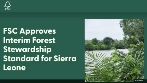 Sierra Leone Gets FSC Interim Standard for Forest Management