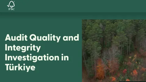 FSC Launches Audit Integrity Probe in Türkiye to Address Certification Risks