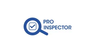 Pro-Inspector