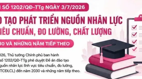 Vietnam Updates National Standards Plan, Expands Workforce Development