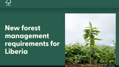 FSC Publishes New Forest Management Standard for Liberia