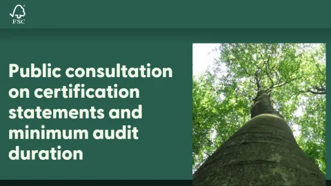 FSC Proposes New Rules for Certification Statements and Audit Duration