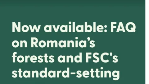 FSC Responds to Concerns Over Romania’s Forest Certification