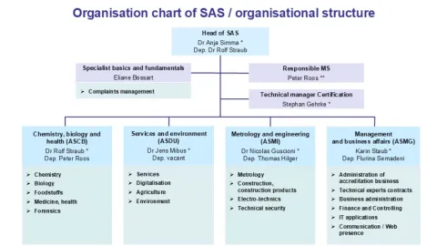 SAS Launches New "Services and Environment Unit"