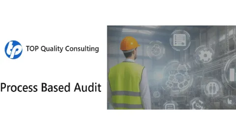 Why Process-Based Auditing Enhances Organizational Excellence