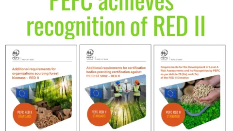 EC Approves PEFC Standards for RED II Renewable Energy Compliance