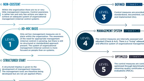 What Your Organizational Maturity Says About You