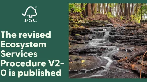 Revised FSC Ecosystem Services Procedure V2-0 Published to Highlight Positive Forest Management Impacts