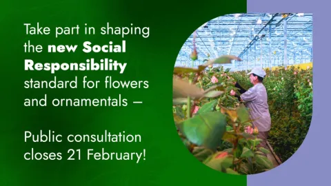 GLOBALG.A.P. Opens Public Consultation on New Social Responsibility Standard for Flowers