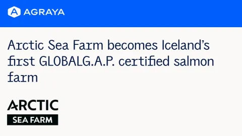 Arctic Sea Farm Secures Iceland’s First GLOBALG.A.P. Salmon Certification