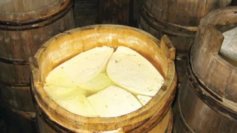 Sheep's Milk Cheese from Travnik Secures Certification, Awaits Official Protection