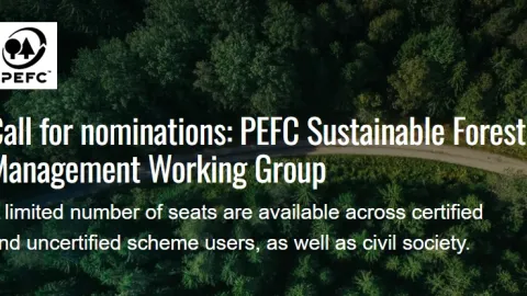 PEFC Opens Nominations For Forest Management Working Group Seats