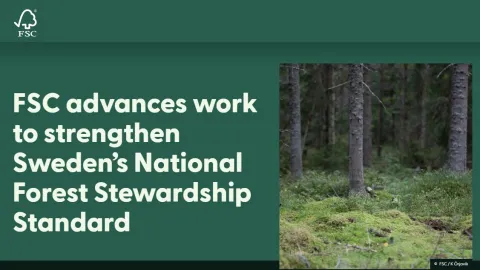 FSC Approves Revision Of Sweden Forest Stewardship Standard