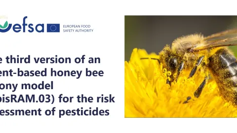 EFSA Launches EU Model to Assess Pesticide Risks for Honey Bees