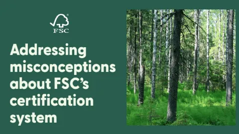 FSC Clarifies Misconceptions Amid Illegal Timber Trade Concerns, Notably From Russia