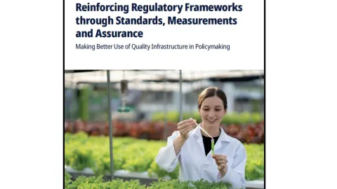 OECD Report Links Standards To More Effective Regulation