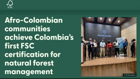 ASOFODEMA Becomes First in Colombia With FSC Certification for Natural Forest Management
