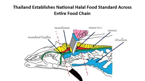 Thailand Establishes National Halal Food Standard Across Entire Food Chain