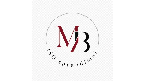 ISO Sprendimai