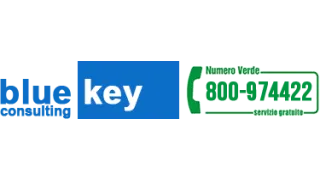 BlueKey Consulting