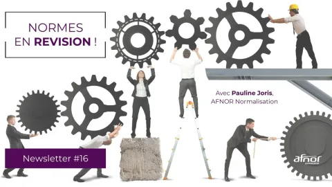 AFNOR Breaks Down Standard Revisions in Latest Newsletter, Experts Weigh In
