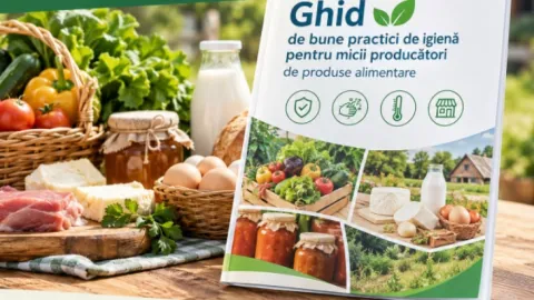 Moldova Puts Practical Food Safety Guide for Small Producers Out for Consultation